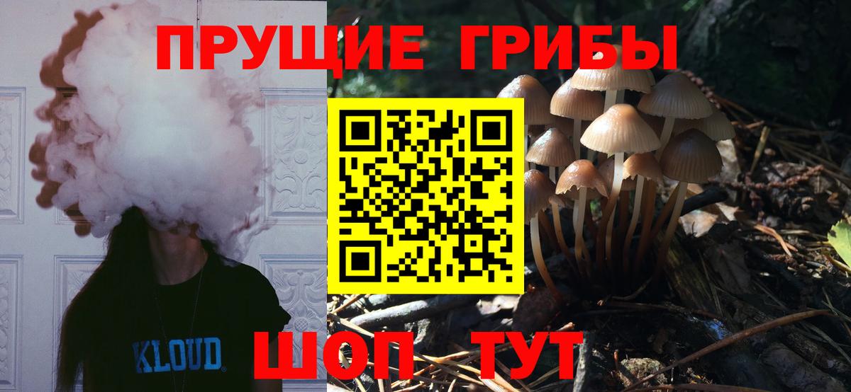 Асбест  Псилоцибиновые грибы мицелий  Вход с VPN 