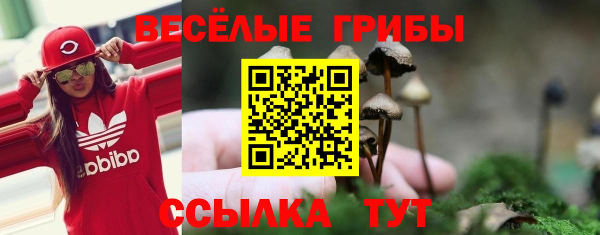Псилоцибиновые грибы ЛСД Асбест